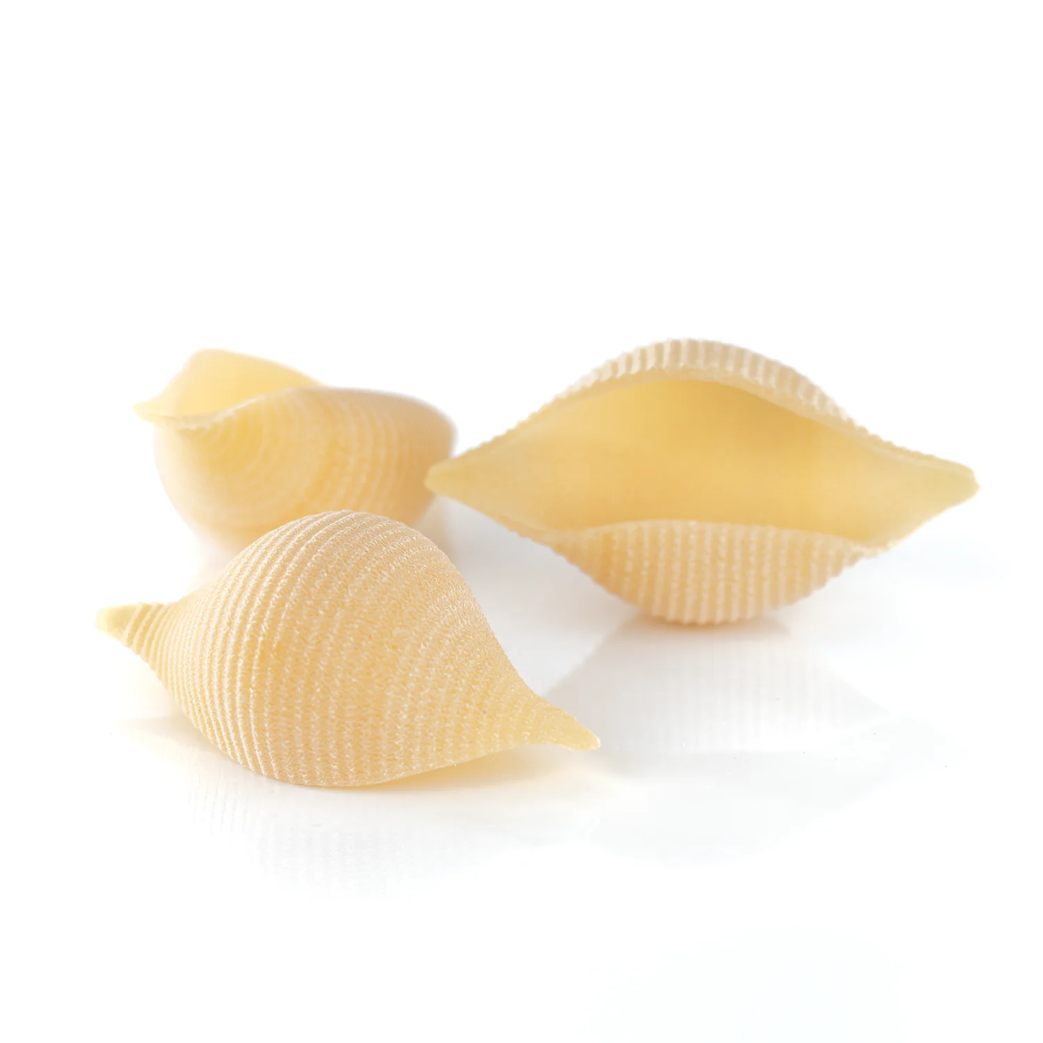 Conchiglioni Pastificio dei Campi - Pasta di Gragnano IGP - Image 2