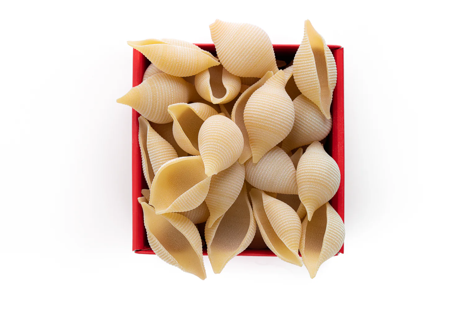 Conchiglioni Pastificio dei Campi - Pasta di Gragnano IGP - Image 3