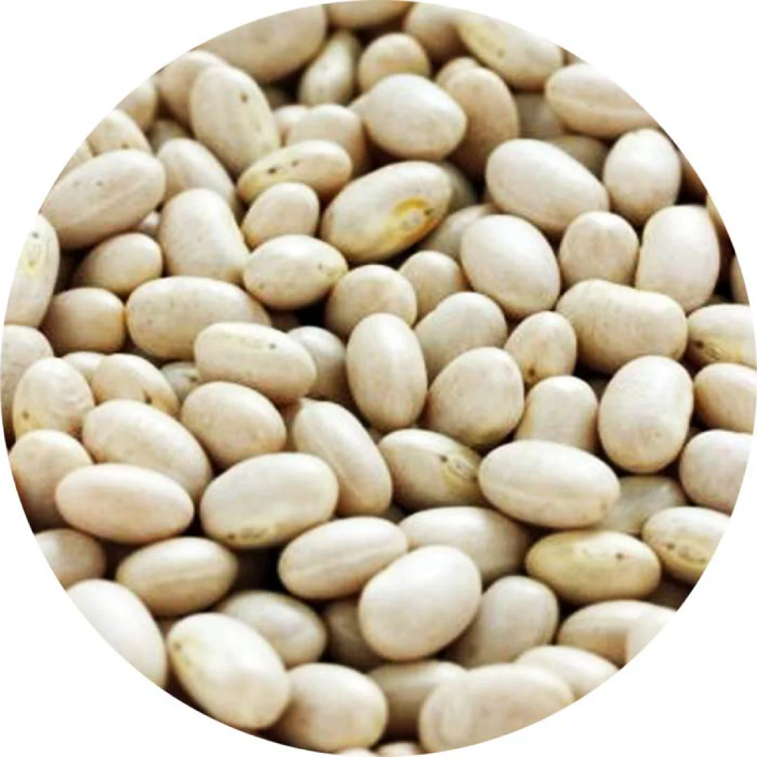 Del Colle Coco Nano Haricot Beans - Image 3