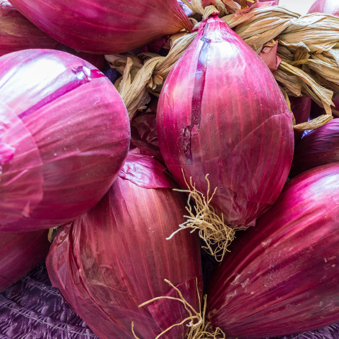 Fresh Tropea Red Onions - Image 2