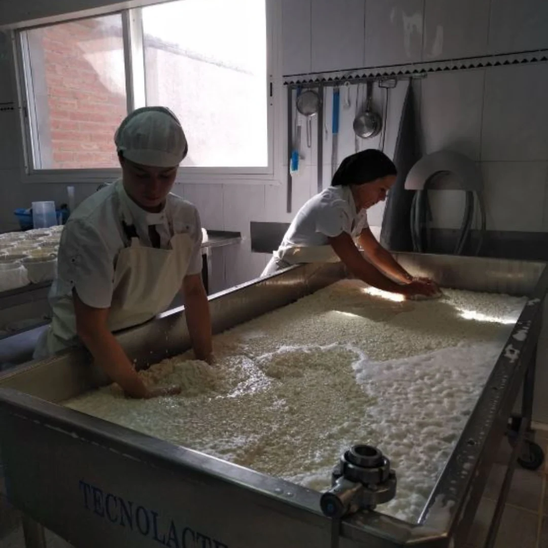 Garrotxa Goat Cheese - Image 3