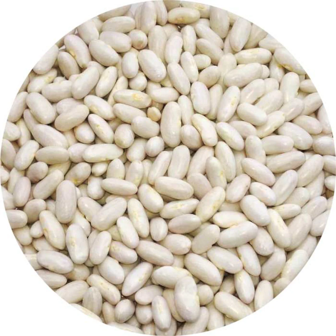 Italian Cannellini Beans - Image 10