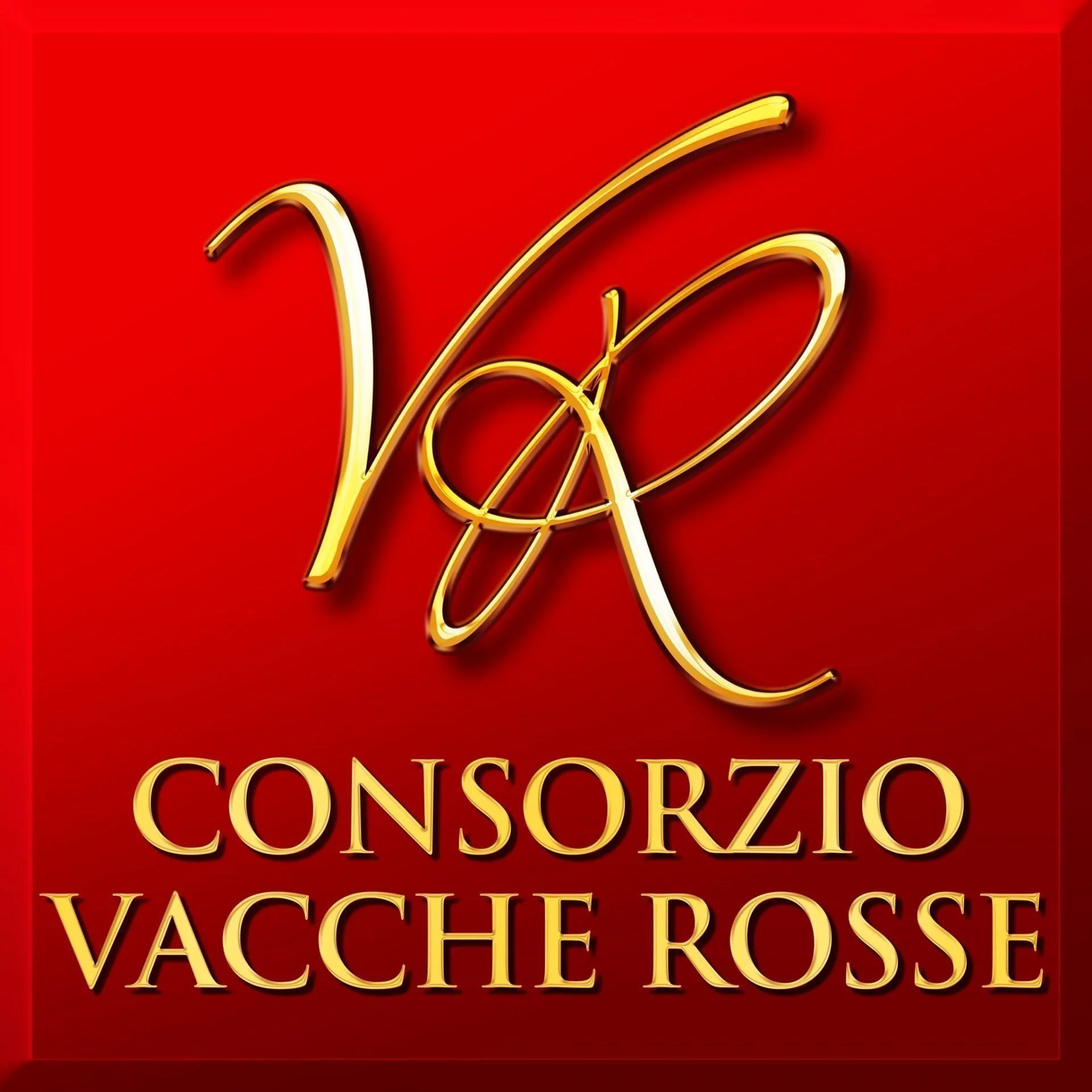 Parmigiano Reggiano di Vacche Rosse (Red Cows) 24 Months Cheese - Image 4