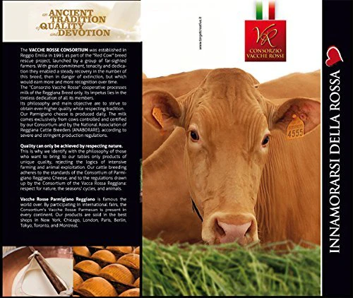 Parmigiano Reggiano di Vacche Rosse (Red Cows) 40 Months Aged - Image 3