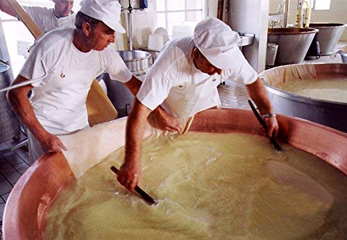 Parmigiano Reggiano di Vacche Rosse (Red Cows) 40 Months Aged - Image 4