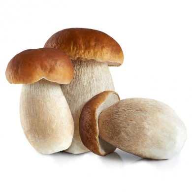 Polenta with Porcini Mushrooms Kit - Image 3