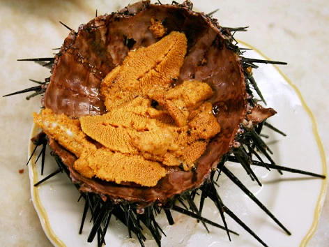 Sea Urchin Pulp By Alma Gourmet - Image 3