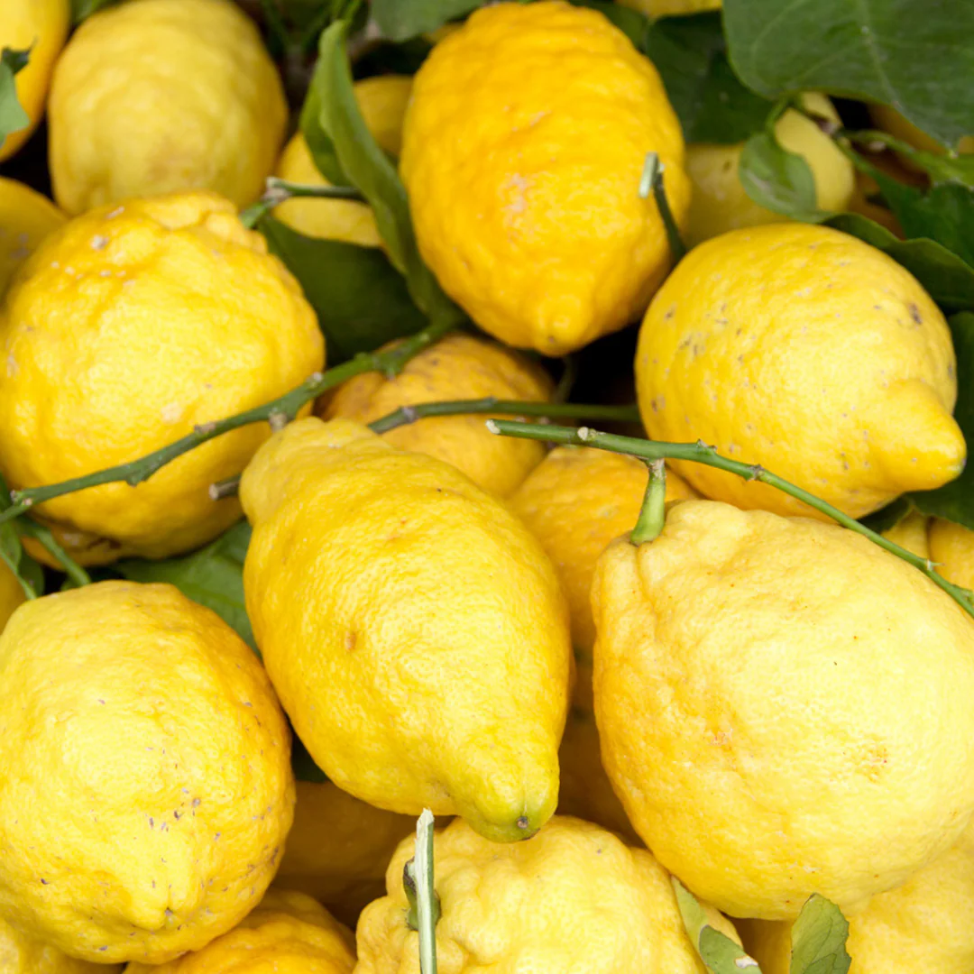 Sorrento Lemons - Limoni di Sorrento - Image 3