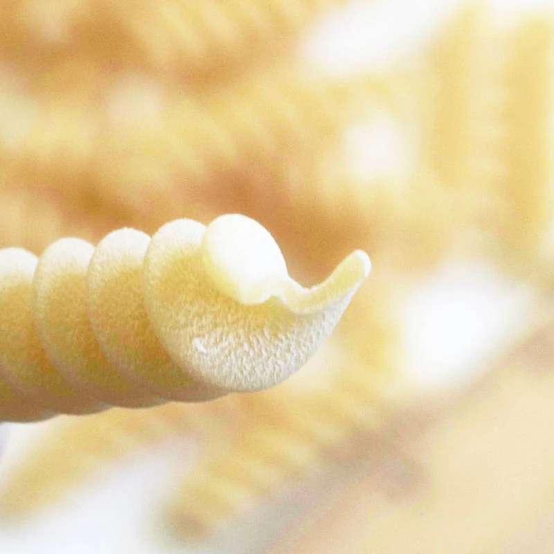 Tortiglioni Fusilli Pasta di Gragnagno Organic IGP - Image 5